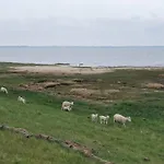 5 Person In Romo-by Traum