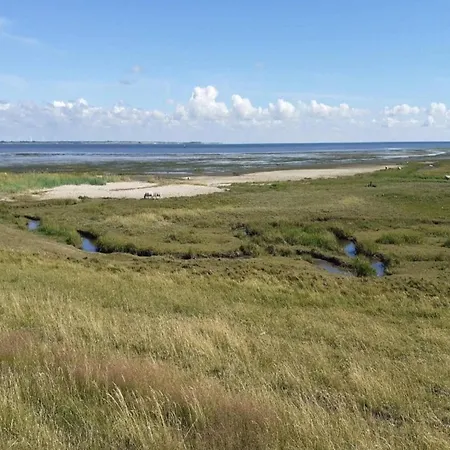 5 Person In Romo-by Traum Prázdninový dům Rømø Kirkeby