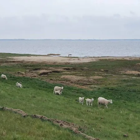 5 Person In Romo-by Traum