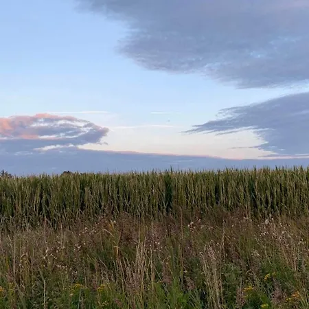 5 Person In Romo-by Traum Prázdninový dům