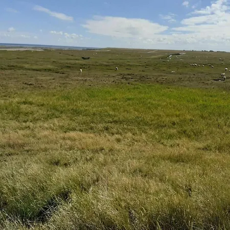 5 Person In Romo-by Traum