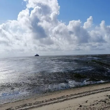 5 Person In Romo-by Traum