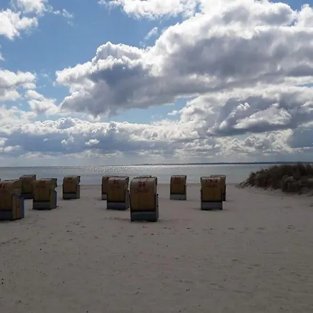 5 Person In Romo-by Traum *