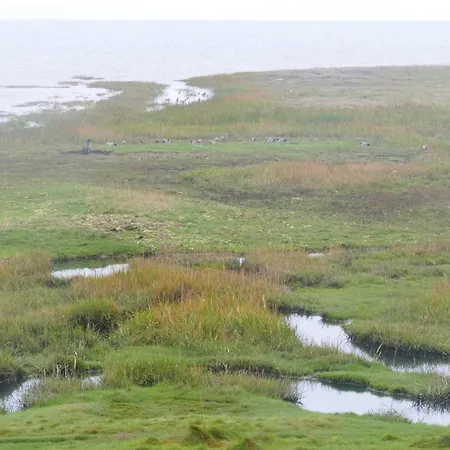 Σπίτι διακοπών 5 Person In Romo-by Traum