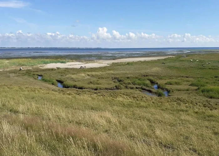 5 Person In Romo-by Traum Prázdninový dům Rømø Kirkeby