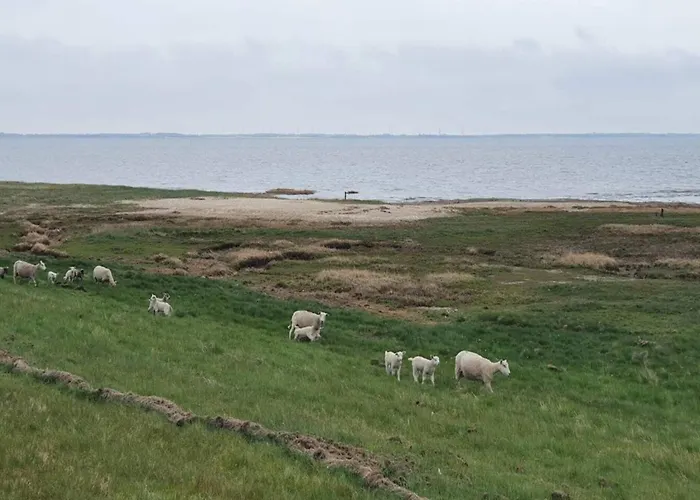 5 Person In Romo-by Traum