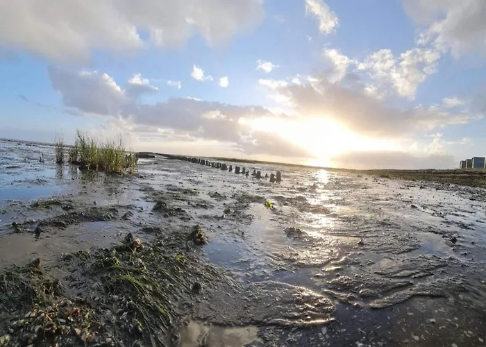 5 Person In Romo-by Traum Prázdninový dům *