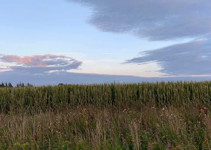 5 Person In Romo-by Traum Prázdninový dům