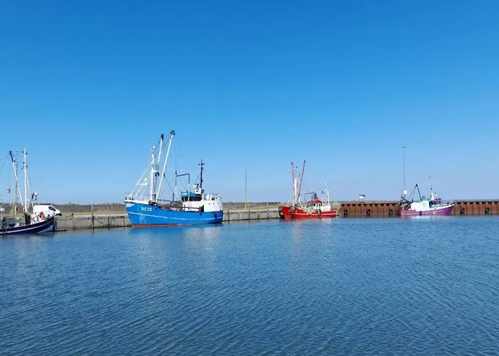 5 Person In Romo-by Traum