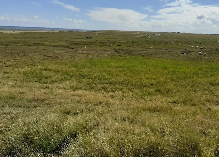 5 Person In Romo-by Traum