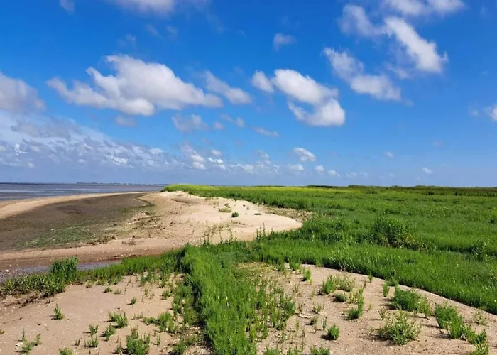 5 Person In Romo-by Traum Prázdninový dům