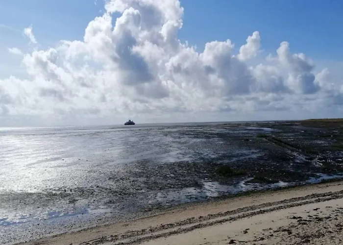 5 Person In Romo-by Traum