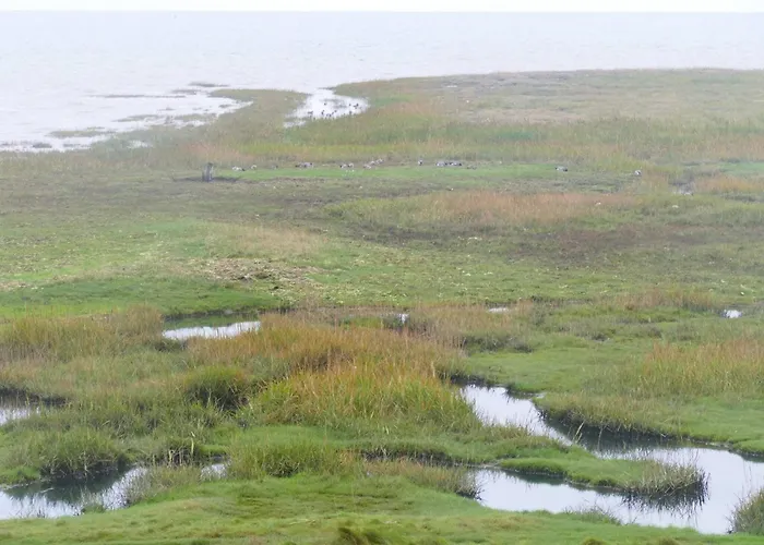 Prázdninový dům 5 Person In Romo-by Traum